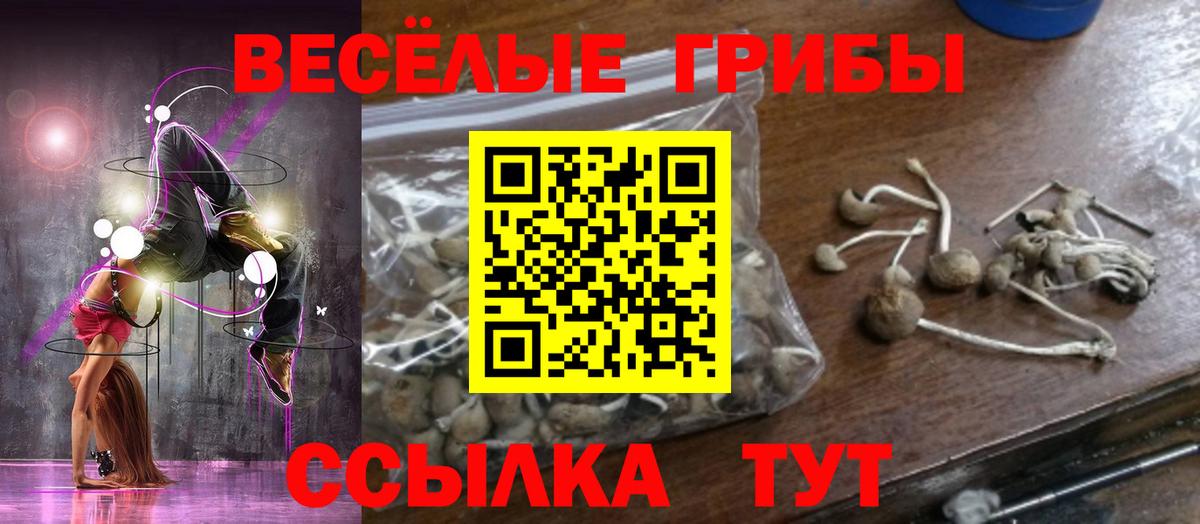 Псилоцибиновые грибы Psilocybine cubensis Стерлитамак