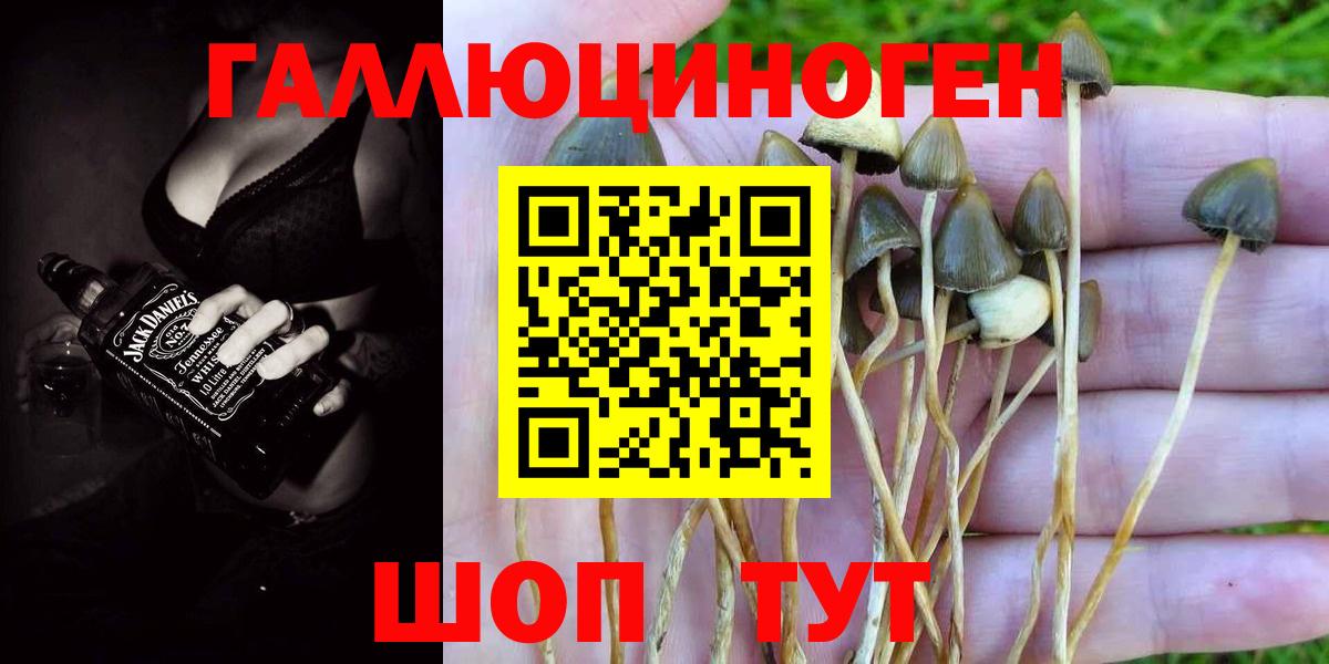 Псилоцибиновые грибы прущие грибы  Псилоцибиновые грибы MAGIC MUSHROOMS  Стерлитамак  Вход с VPN 